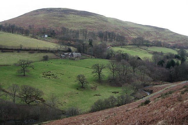 Ling Fell in the North Western Fells of the Lake District
