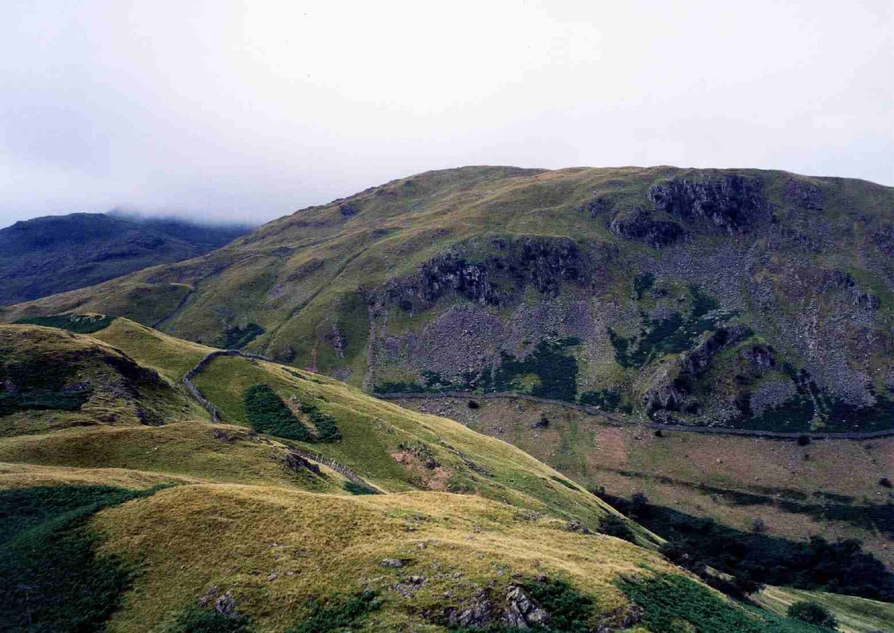 Birks in the Eastern Fells of the Lake District
