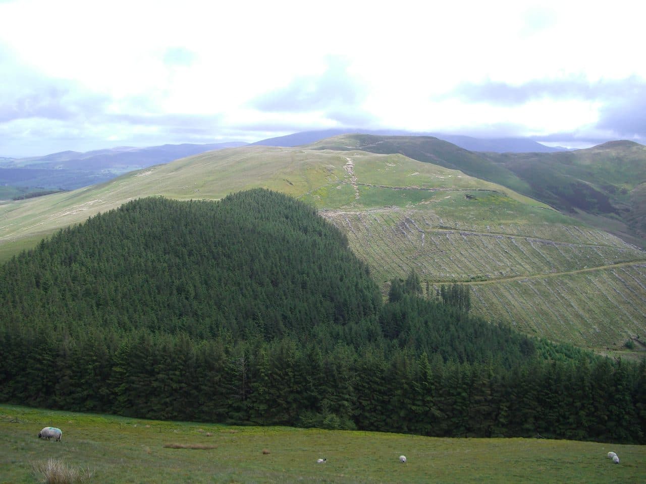 Broom Fell in the North Western Fells of the Lake District