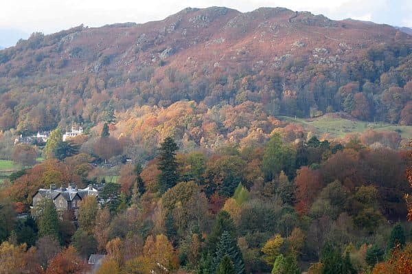 Loughrigg Fell in the Central Fells