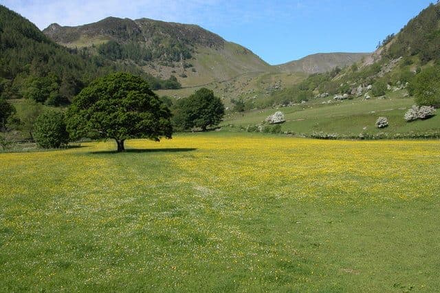 Sheffield Pike in the Eastern Fells of the Lake District