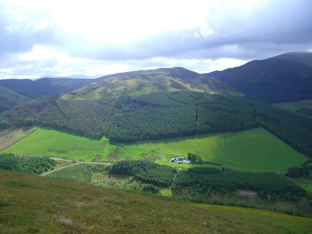 Whinlatter (Brown How) in the North Western Fells of the Lake District